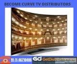 Become Curve TV Distributors