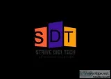 Facebook Marketing Company in Chandigarh Strive Digi tech