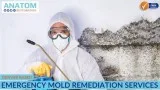 Denver Based Emergency Mold Remediation Services