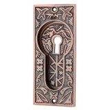 Brass Flush Pulls