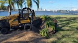 Stump Grinding Orange Park FL