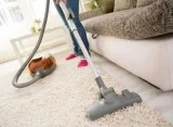 Are You Looking for Commercial Carpet Cleaning in NYC