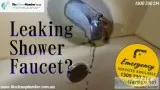 How to Fix a Leaking Shower  The Clean Plumber