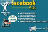 Top Facebook Marketing And Advertising Company in Wyong Australi
