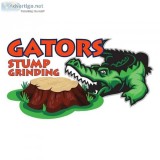 Stump Grinding Jacksonville Beach FL