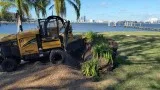 Stump Grinding Jacksonville Beach FL