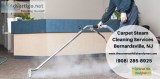 Why Do You Need To Hire Carpet Steam Cleaning Services Bernardsv