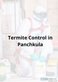 Anti Termite Treatment in Panchkula  Termite Control in Panchkul