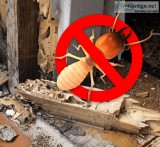Top Anti Termite Treatment in Mohali  Call at 91 9888995982 for 