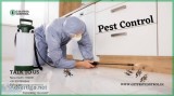 Best Pest Control in Delhi Pest Control Charges in Delhi