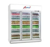 New Design Two Door Refrigerators Manufacturers