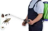Looking for pest control services in mohali  ICS facility Manage