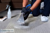 Carpet Shampooing Services  Aquuamarine
