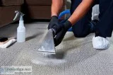 Carpet Shampooing Services  Aquuamarine