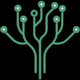 Best SEO agency in delhi NCR  The Viral Trees
