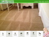 Carpet Cleaning ExpertsHippo Carpet Cleaning Chantilly