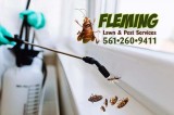 Need of quality pest control services in Pahokee Choose us