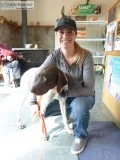 Surgeries For Dogs and Cats  Contact Powell Veterinary Service