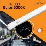 Buy T8 LED Bulbs 5000K at Discounted Price