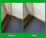 Professional Carpet Repairs in Melbourne