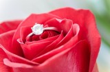 New zealand matrimony