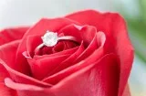 New zealand matrimony