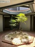 3 condos for sale