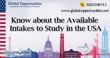 Know about the Available Intakes to Study in the USA