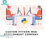 Custom Python Web Development Company - Deorwine Infotech