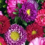Bulk Leaves Buy LeavesLeaves Dealers