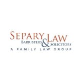 Family Lawyer Divorce Child Support and Custody Lawyer  Separy L