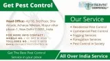 Best pest control in noida, pest control charges in noida