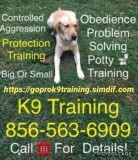 Handling all issues K9&rsquos