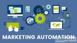 Automate Your Business With ADOHM