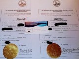U.S. ONLINE PASSPORT APOSTILLE SERVICES Express Rush and Standar