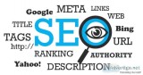 Best SEO Company in Jalandhar  SEO Services in Jalandhar