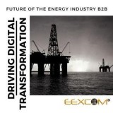 Energy B2B E-Commerce Platform  Energy B2B  EEXCOM