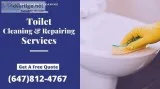 Toilet Repair Services in Mississauga.