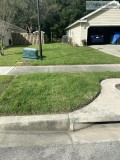 sodding a yard