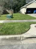 sodding a yard