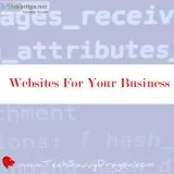 Freelance Web Developer in New York City  Tech Savvy Dragon  www