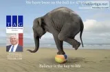 The Alliance Group
