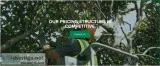 Avail the expert tree cutting services