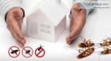 Ottawa Pest Control Companies