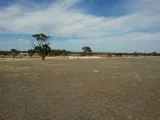 Buy Commercial Na Land At City Center Zone In Dholera SIR