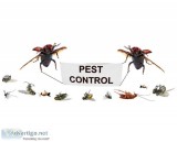 Best Pest control marietta ga