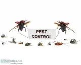 Best Pest control marietta ga