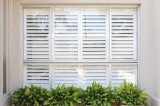 Plantation shutters woonona