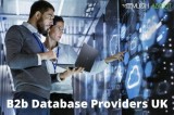 Trusted B2b Database Providers in the UK