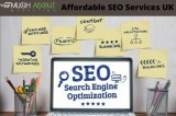 Here the Professional SEO Services are affordable too